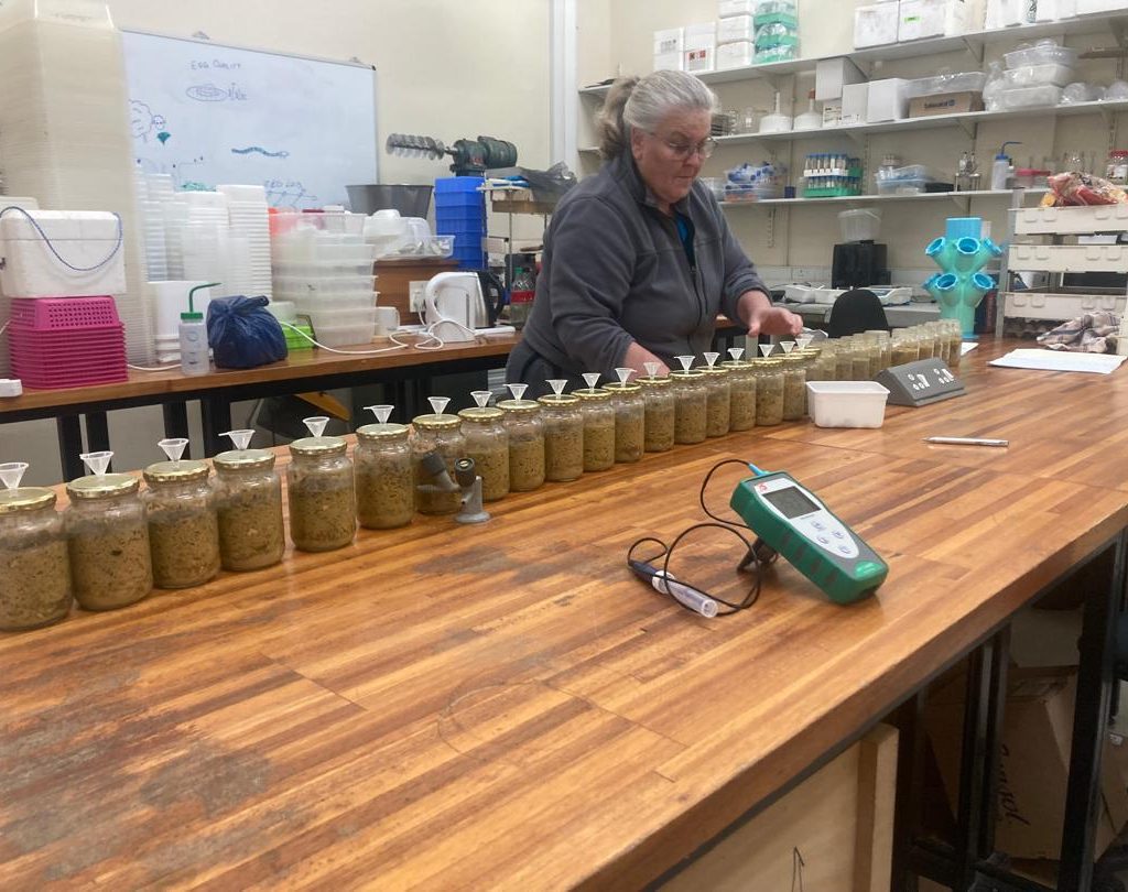 Dr Pieterse in her beloved lab.